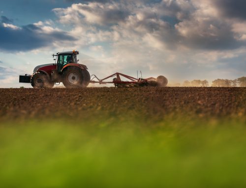 Συμβολαιακή γεωργία: Την πρώτη βδομάδα του Δεκεμβρίου ξεκινά η παραγωγική λειτουργία της εφαρμογής στην ΑΑΔΕ